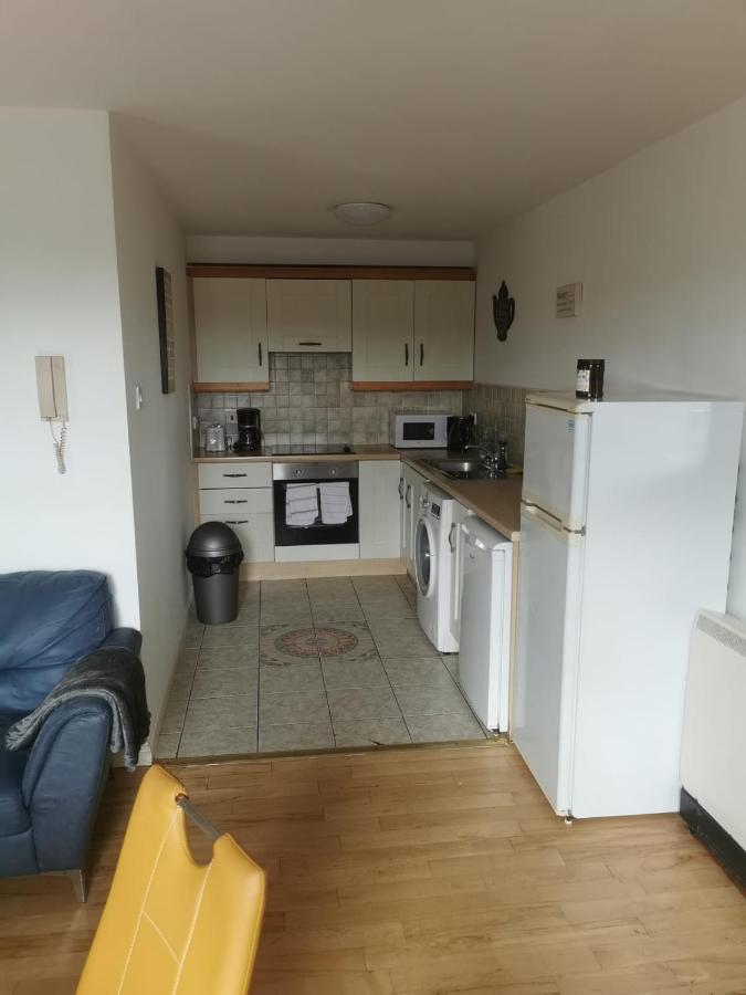 Cosy Retreat Lejlighed Galway Eksteriør billede